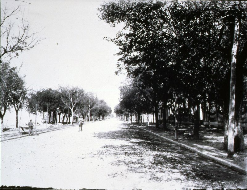 Paseo de las Delicias