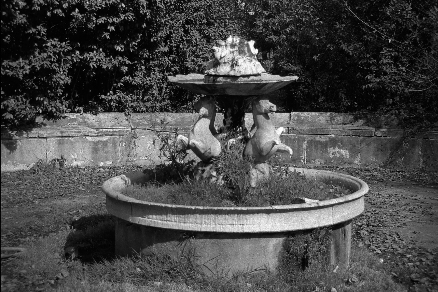 Fuente de los caballos en la Finca Vista Alegre