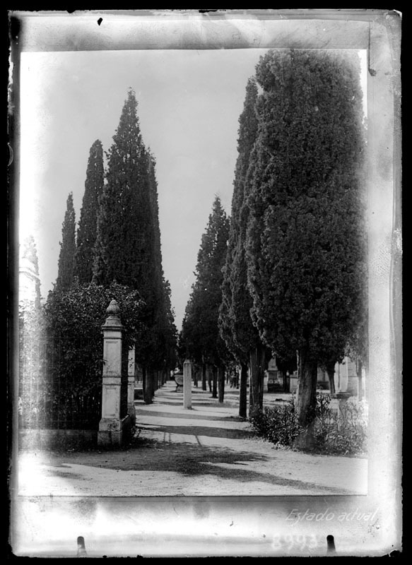 Cementerio de San Martn