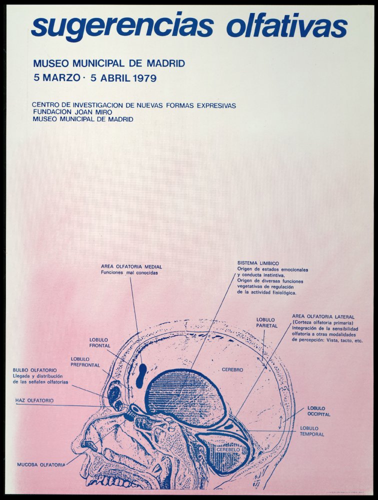 Sugerencias olfativas: [exposicin] 5 de marzo - 5 de abril 1971